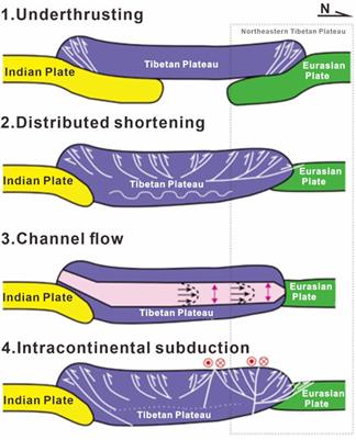 Crustal structure and deformation mechanism of the western northeast Tibetan Plateau